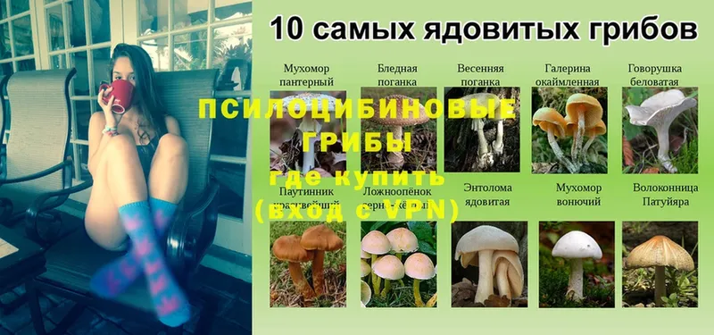 Галлюциногенные грибы Magic Shrooms  Поронайск 